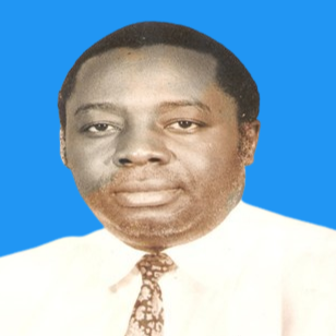 Daniel A. Kajumulo photo