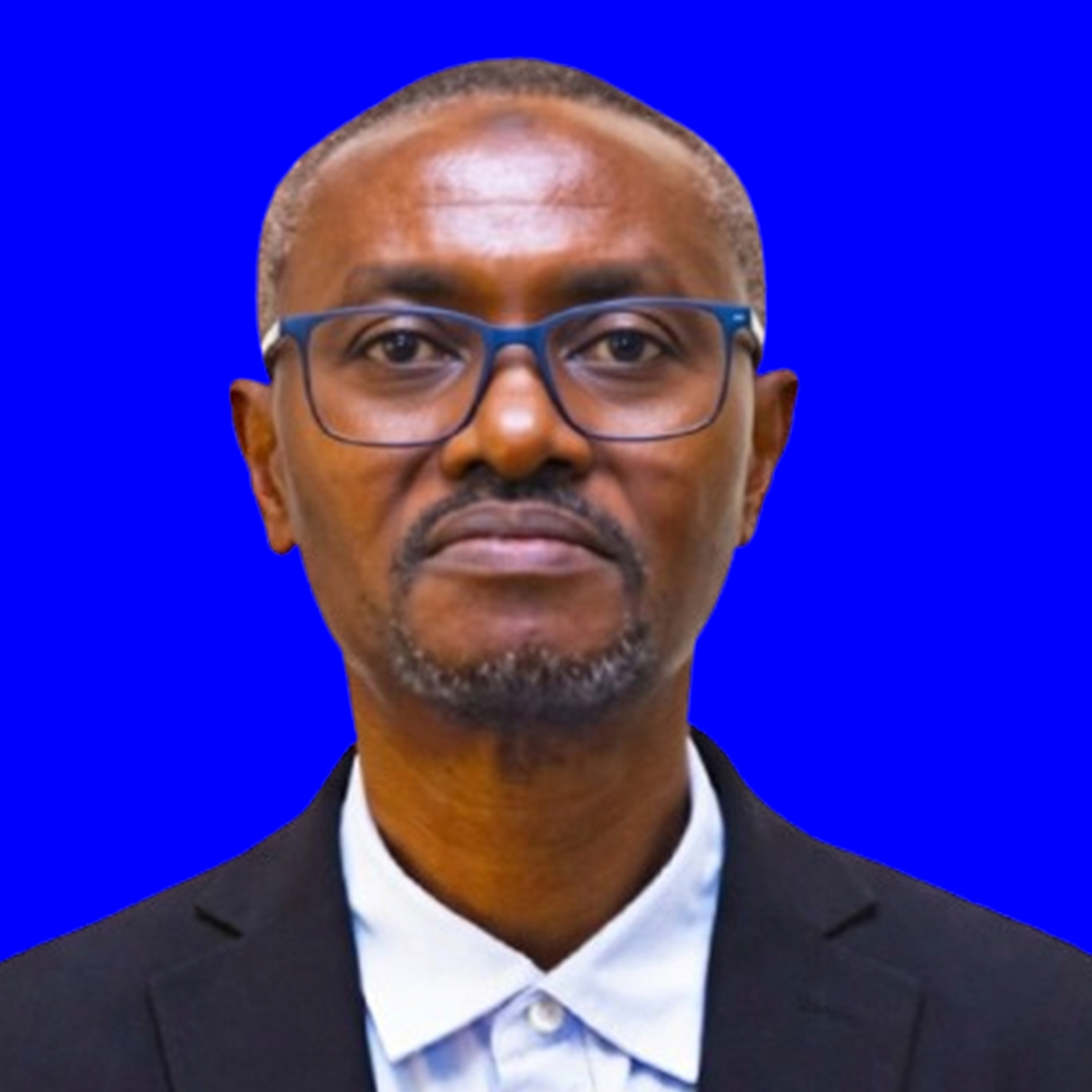 Mohamed R. Ally photo